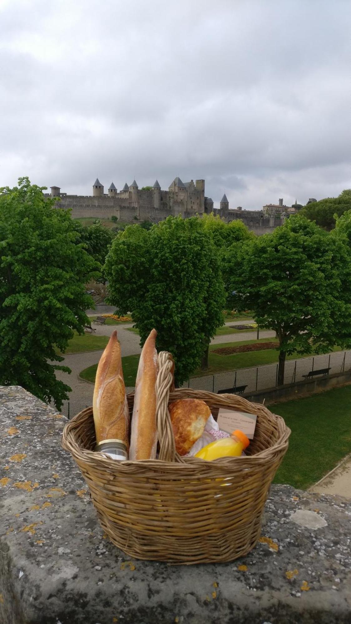 カルカソンヌ Les Remparts De Caroline, Au Pied De La Cite.ヴィラ エクステリア 写真